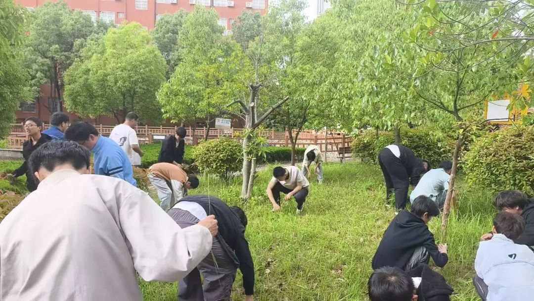 微信图片_20250610143014.jpg